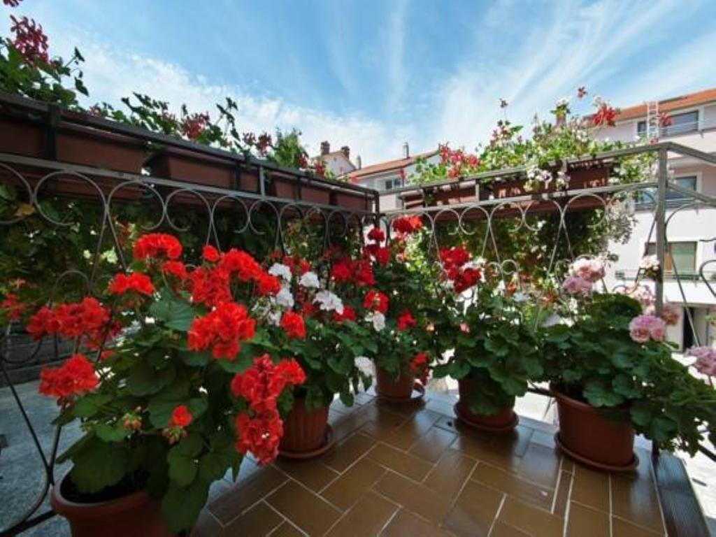 Apartments Elda Rovinj Bagian luar foto